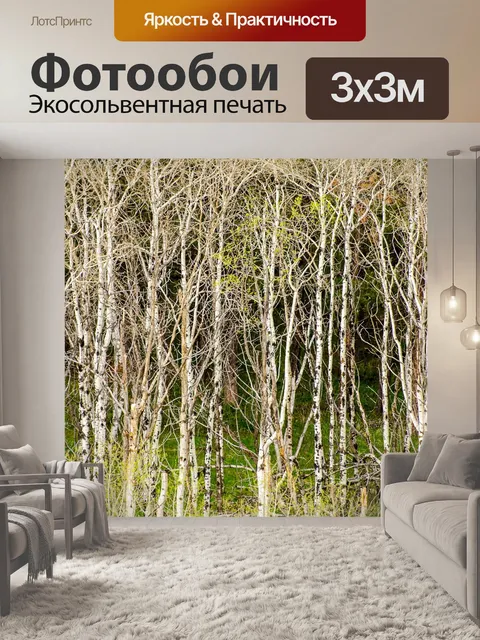 Фотообои Осины