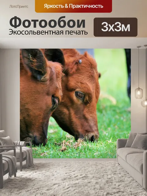 Фотообои близнецы телята пасутся