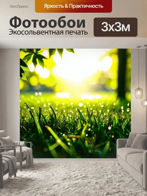 Фотообои утро: утренняя роса на траве со светом, пробивающимся сквозь листья деревьев