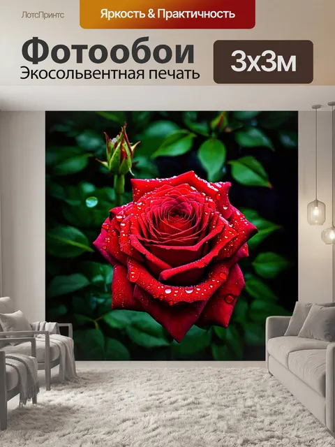 Фотообои розы в стиле капельное искусство, романтичные образы, тонкие детали капель на лепестках