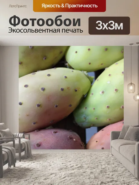Фотообои Инжир
