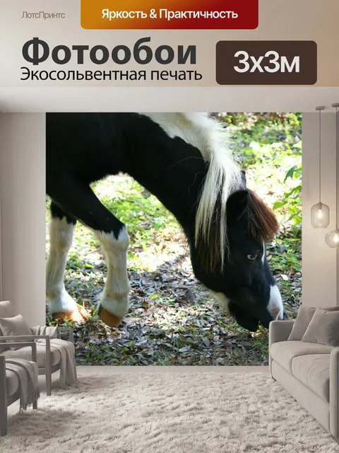 Фотообои Миниатюрная лошадь