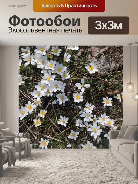 Фотообои Довольно белые цветы
