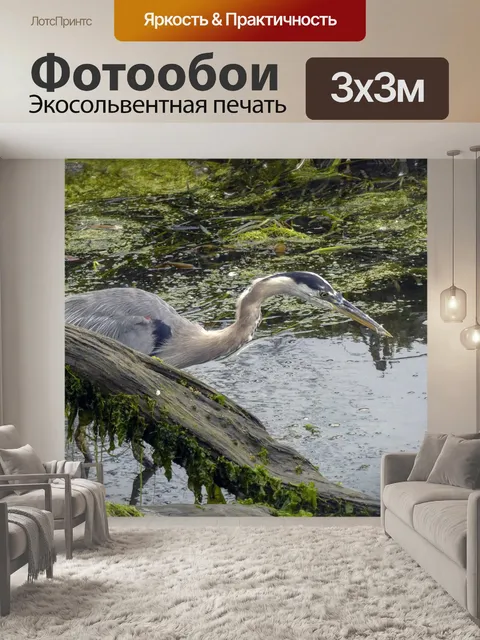 Фотообои Голубая цапля