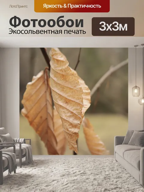 Фотообои Лес