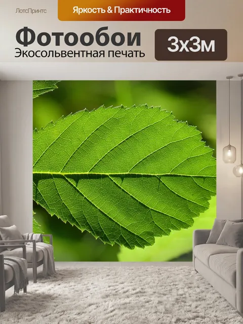 Фотообои Лист