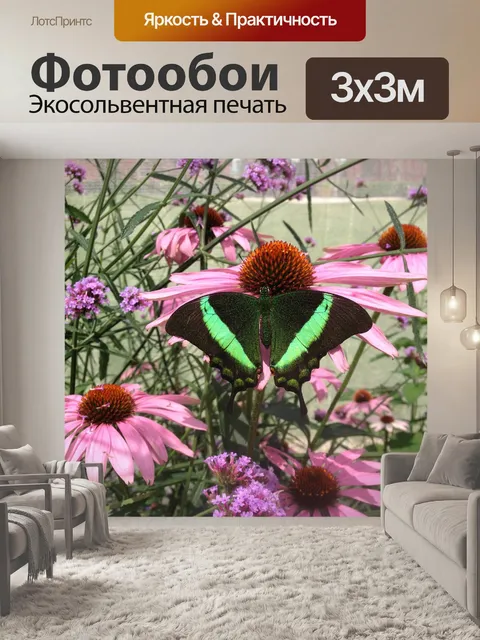 Фотообои Бабочка