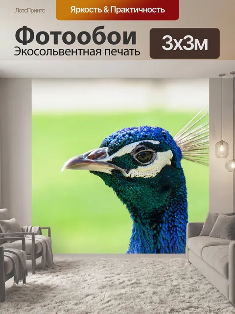 Фотообои Павлин