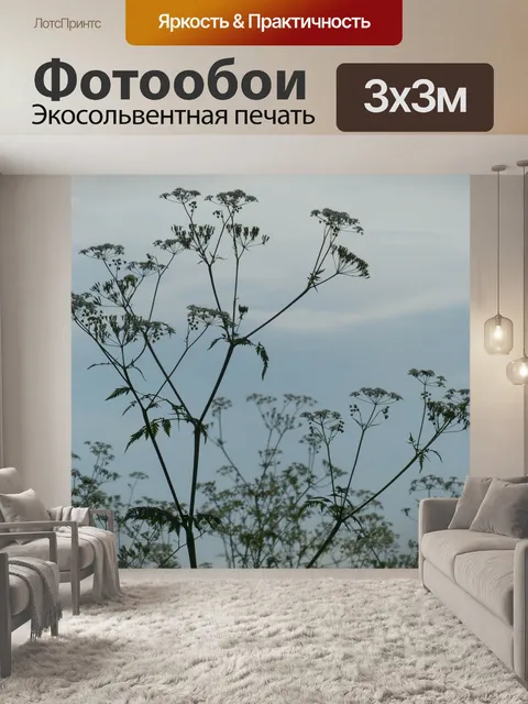 Фотообои Луговой кервель