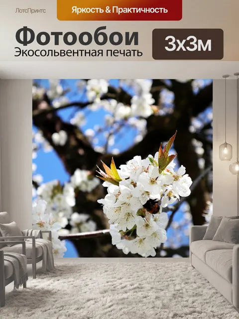 Фотообои Шмель