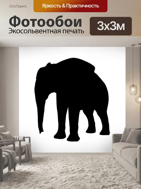 Фотообои Силуэт