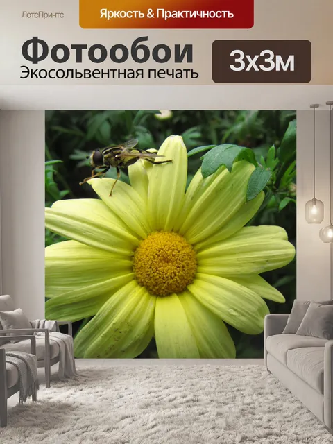 Фотообои Желтый цветок и пчела