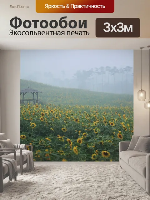 Фотообои Подсолнечник