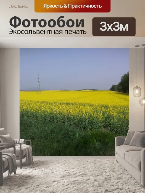 Фотообои Желтое поле