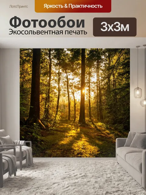 Фотообои закат в глубоком лесу