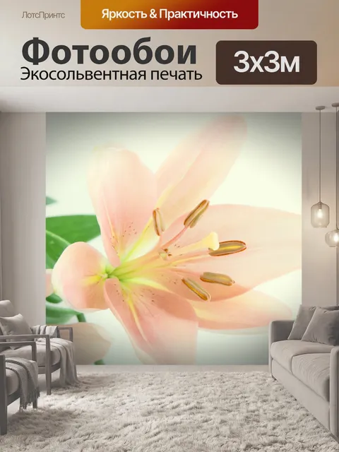 Фотообои Лилии Цветы
