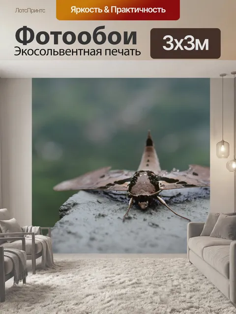 Фотообои Ошибка