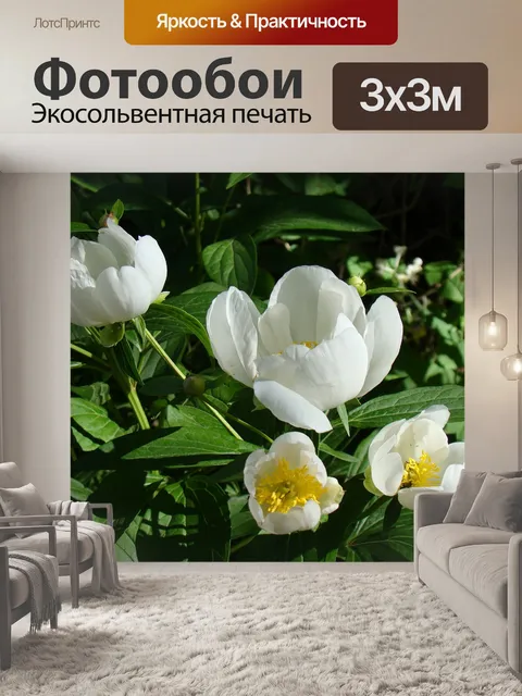 Фотообои Пионы