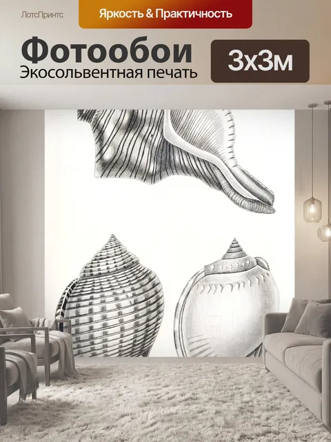 Фотообои Клипарт ракушки винтажное искусство