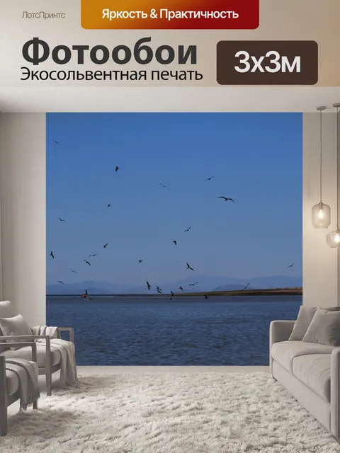 Фотообои Стая морских птиц