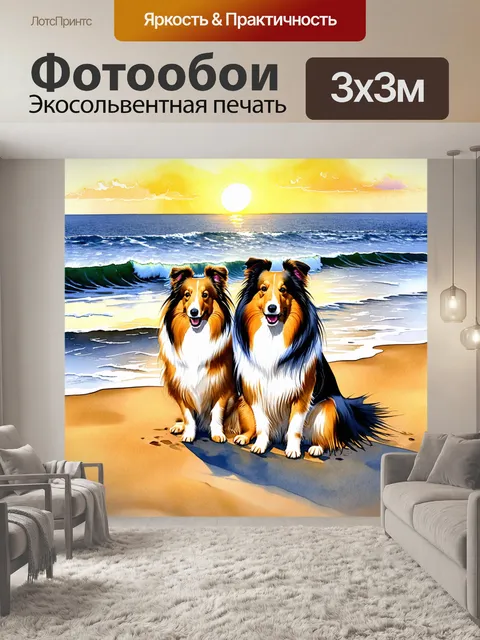 Фотообои восход солнца освещает двух шелти, которые сидят на берегу океана, за ними высокие волнорезы