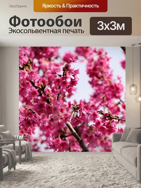 Фотообои Розовый цветок дерева Иуды