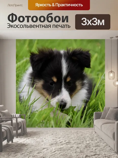 Фотообои Щенок