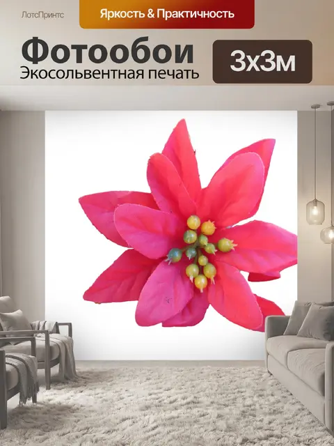 Фотообои красивый красный цветок
