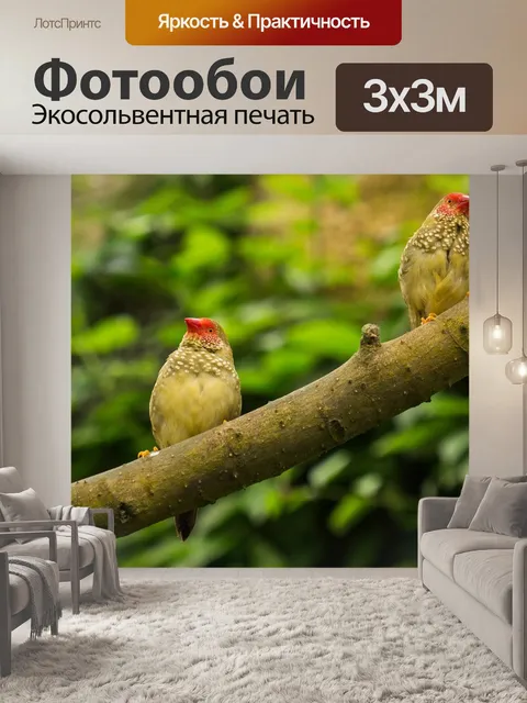 Фотообои Сад бабочек бенальмадена