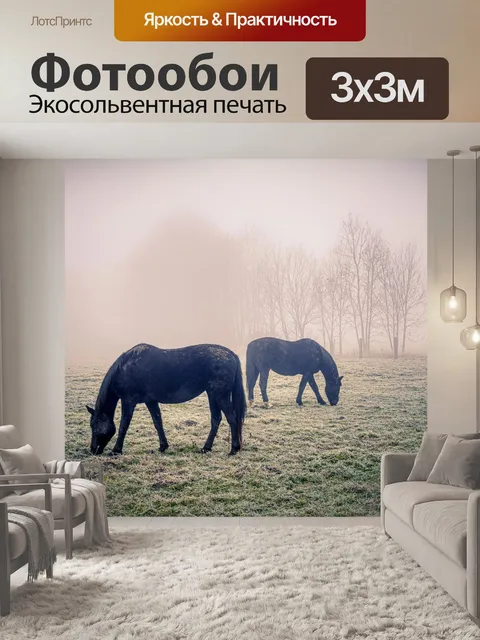 Фотообои Лошади