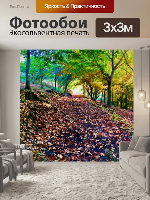 Фотообои Путь