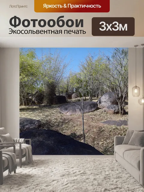 Фотообои Бамбуковый лес 3