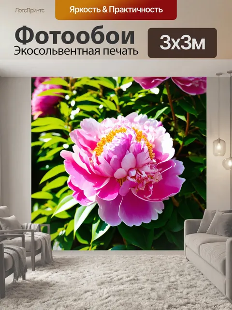 Фотообои пионы, сверкающие на ярком солнечном свете, с богатым фоном из зеленых листьев