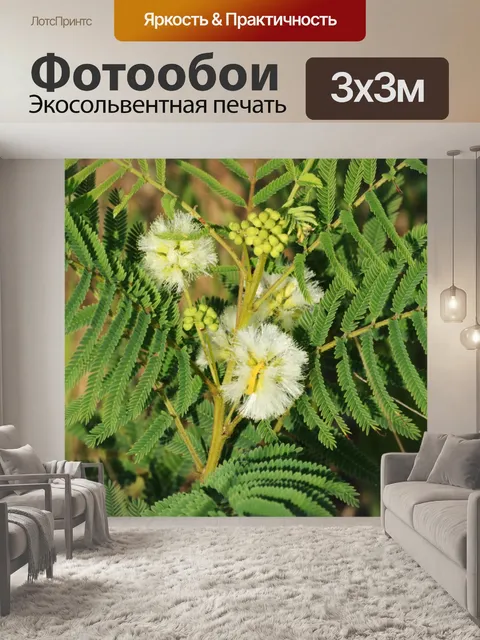 Фотообои Прейри Акация Полевые цветы