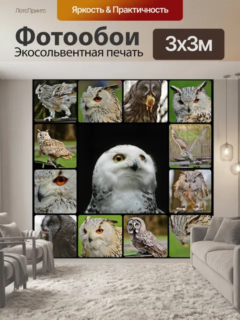 Фотообои Совы