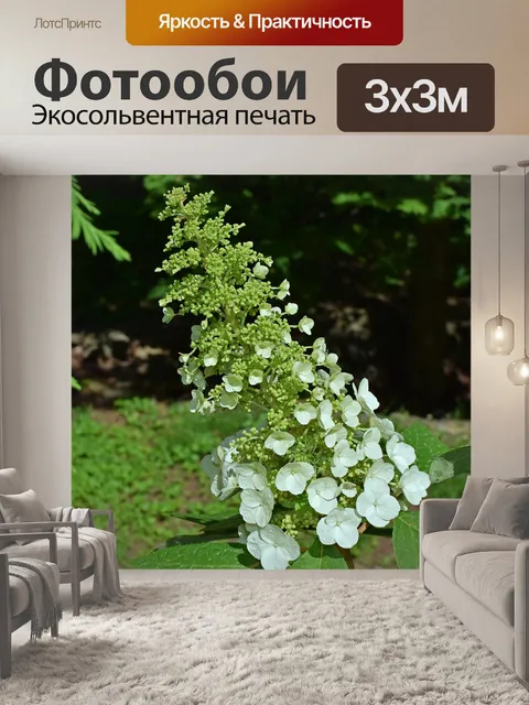 Фотообои Дубовая гортензия