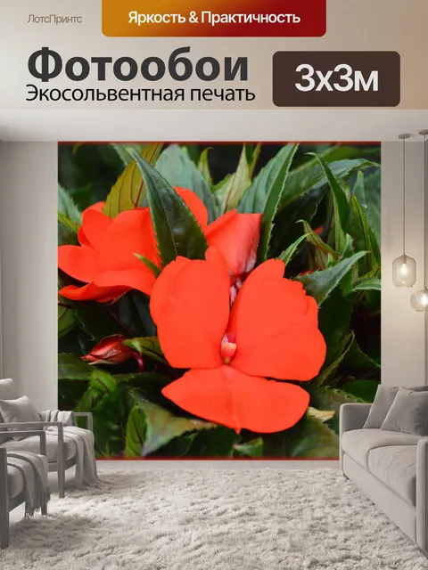 Фотообои Голландские цветы в садах 63