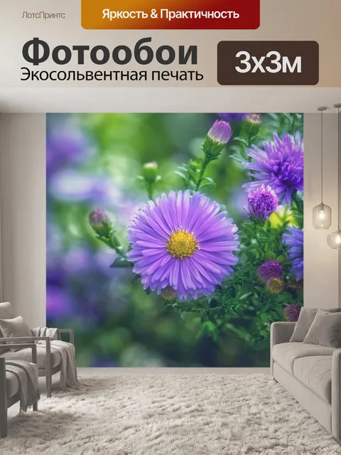 Фотообои Осенняя астра синий цветок
