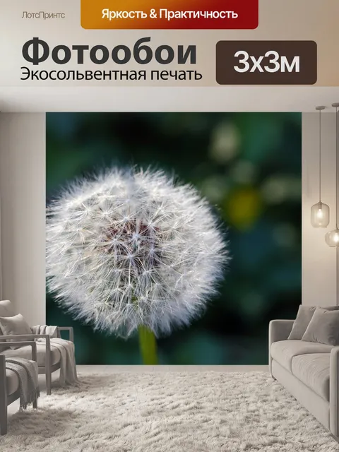 Фотообои Семена белого одуванчика