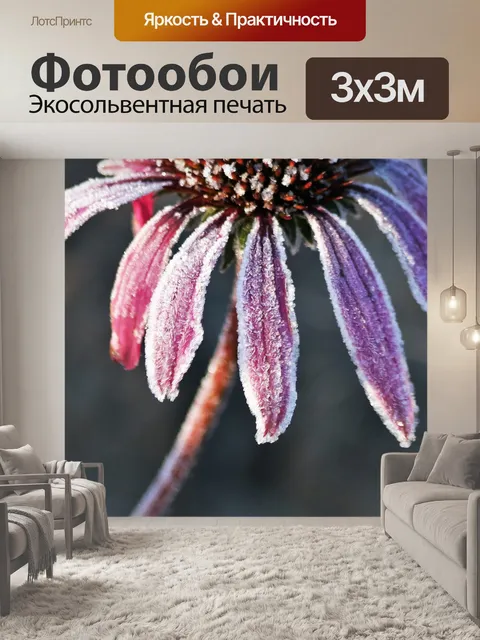Фотообои Ледяные розовые лепестки