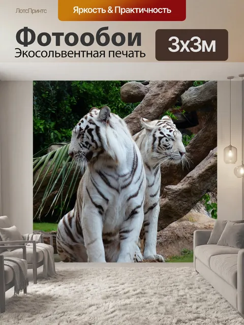 Фотообои Белый бенгальский тигр