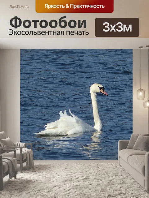 Фотообои Лебедь
