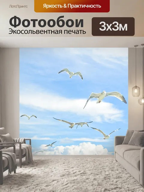 Фотообои Чайки