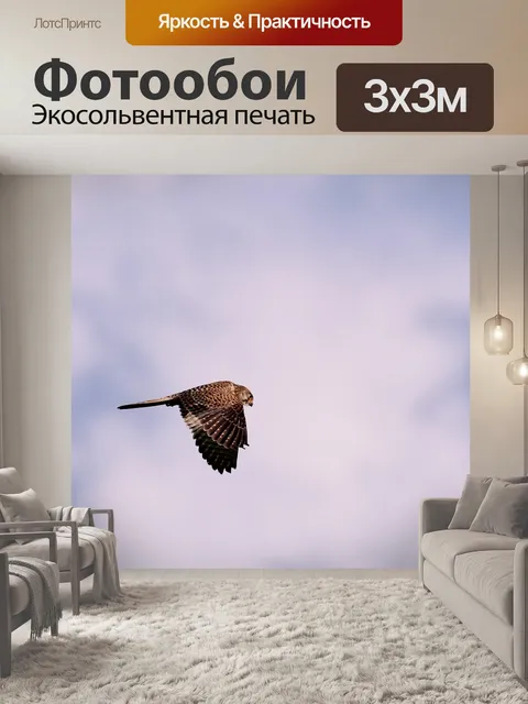 Фотообои Валк