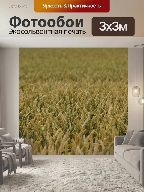 Фотообои Обочина