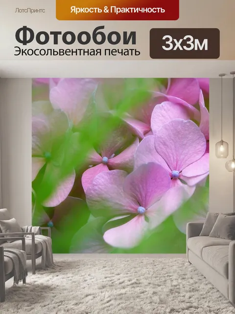 Фотообои Гортензии