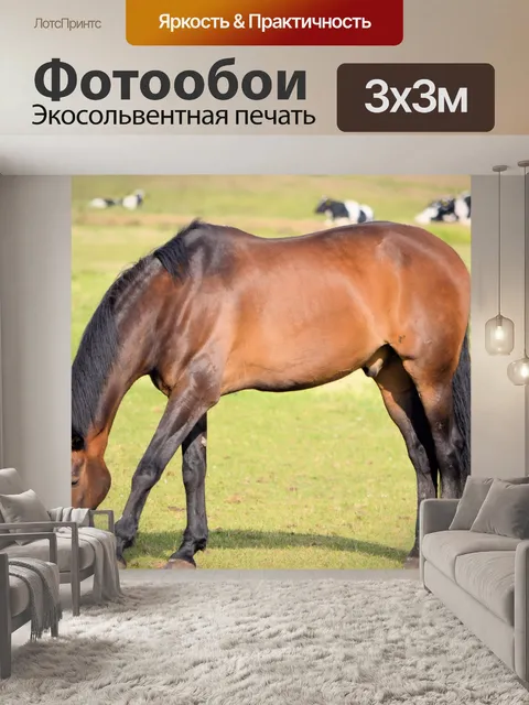 Фотообои Выпас лошадей