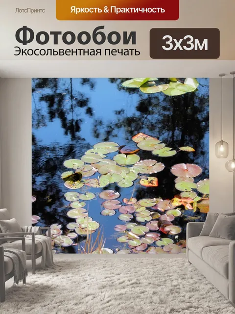 Фотообои Лили колодки 2