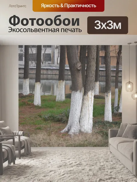 Фотообои Окрашенные стволы деревьев