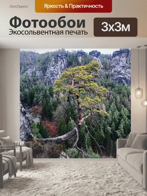Фотообои Дерево